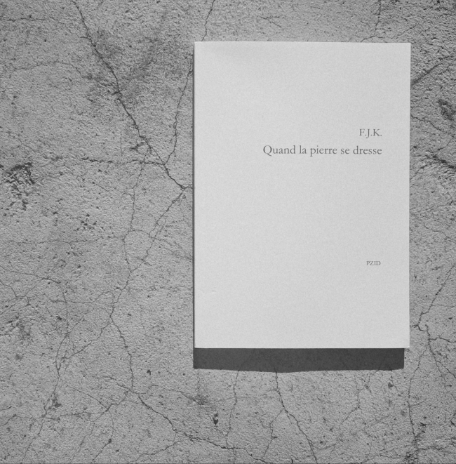 Livre : Quand la pierre se dresse - 1ère partie - Laya